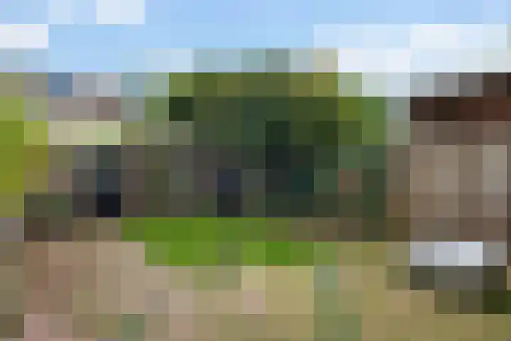 Van Wijnbergenlaan 46 Barneveld thumbnail 31
