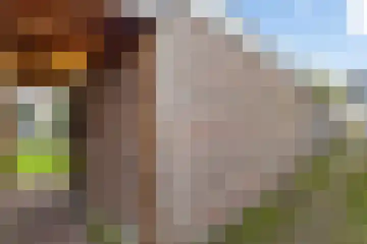 Van Wijnbergenlaan 46 Barneveld thumbnail 35