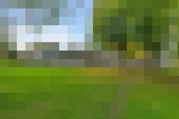 Van Wijnbergenlaan 46 Barneveld thumbnail 36