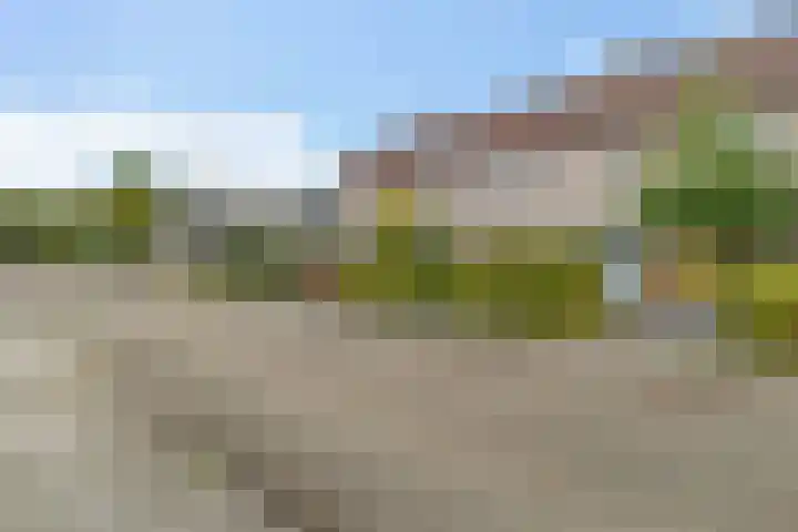 Van Wijnbergenlaan 46 Barneveld thumbnail 5