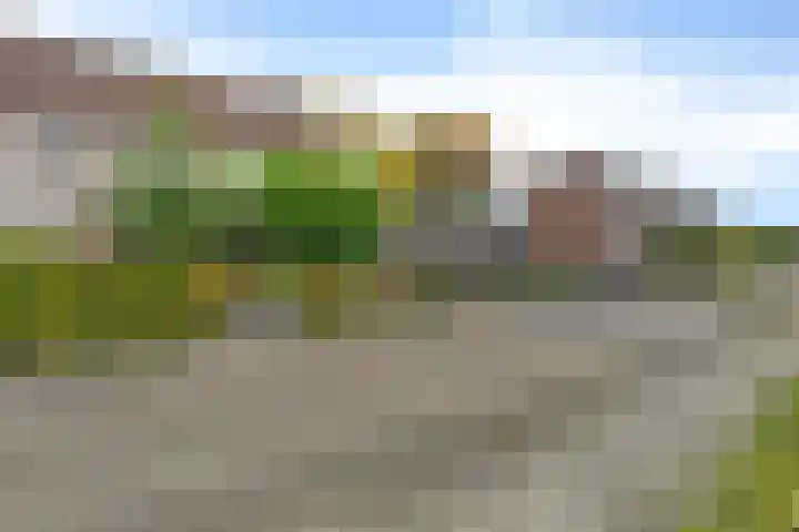 Van Wijnbergenlaan 46 Barneveld thumbnail 6