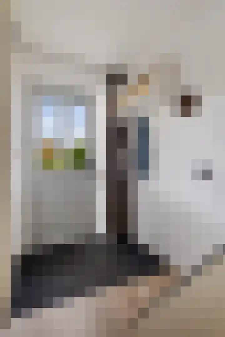 Van Wijnbergenlaan 46 Barneveld thumbnail 7