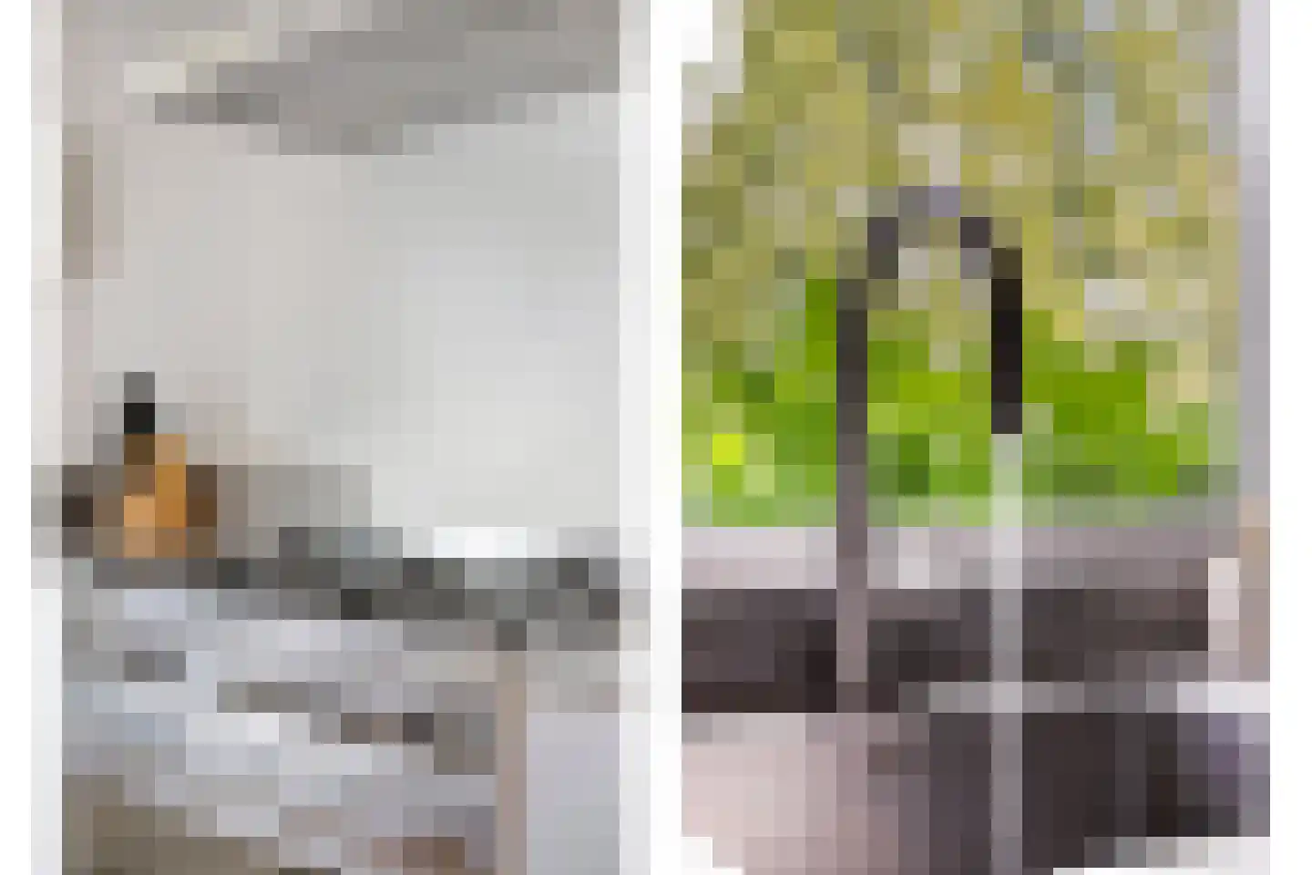 Van Wijnbergenlaan 47 Barneveld thumbnail 18