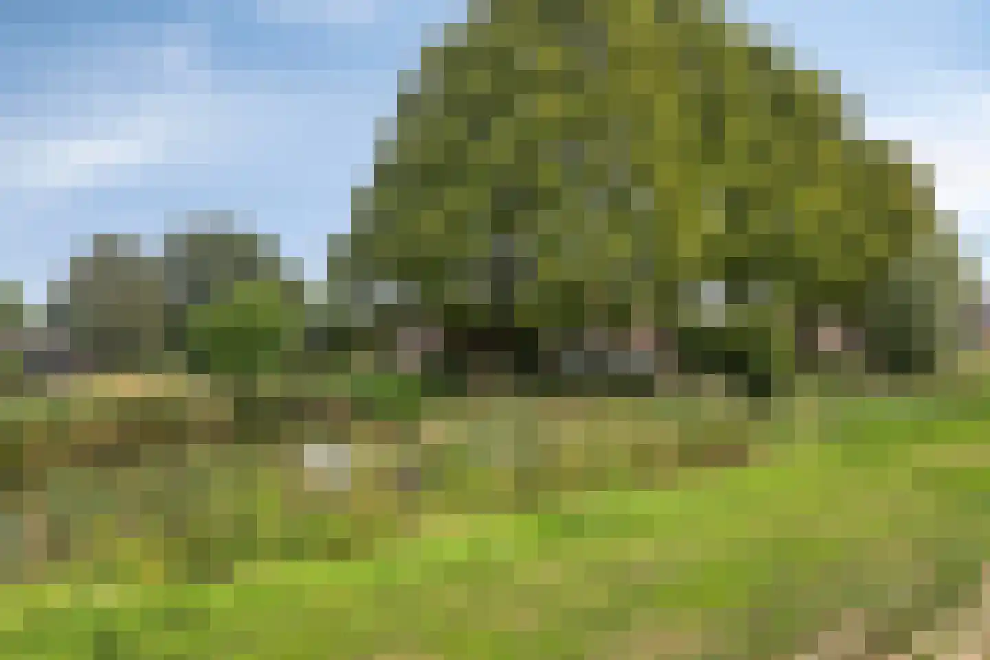 Van Wijnbergenlaan 47 Barneveld thumbnail 41