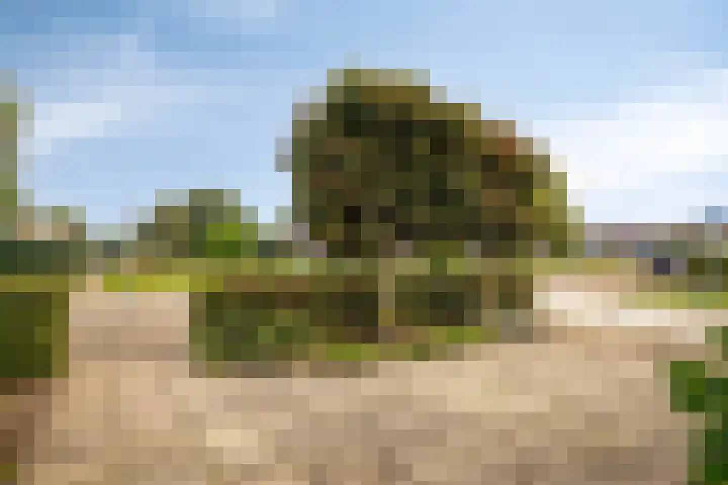 Van Wijnbergenlaan 47 Barneveld thumbnail 6