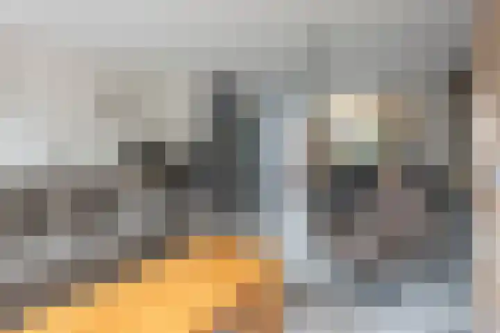 Van Wijnbergenlaan 59 Barneveld thumbnail 11