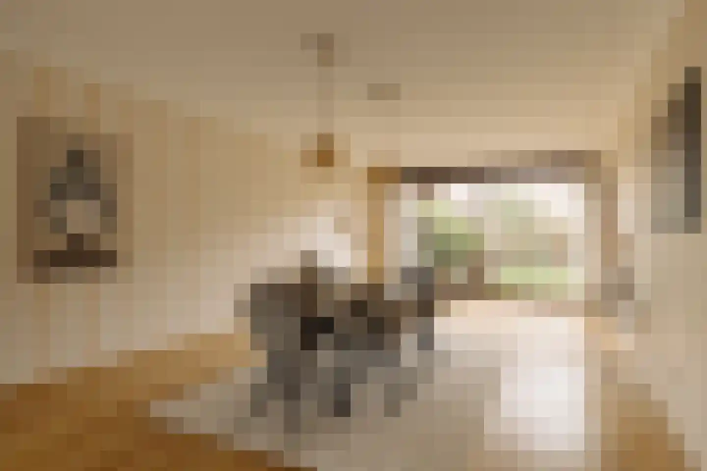 Van Wijnbergenlaan 6 Wassenaar thumbnail 10