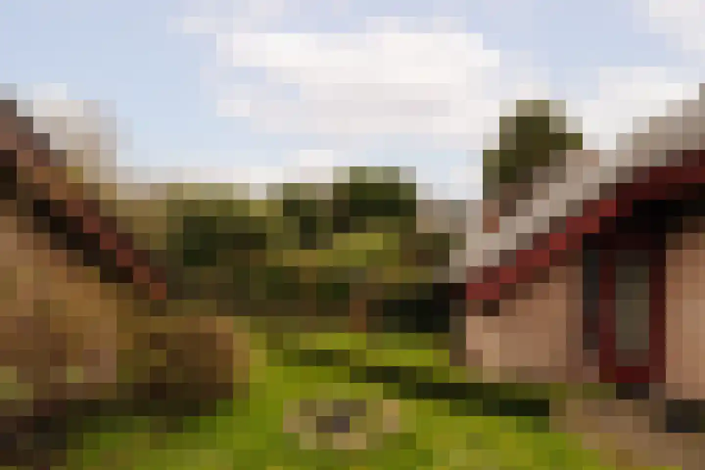 Van Wijnbergenlaan 6 Wassenaar thumbnail 18