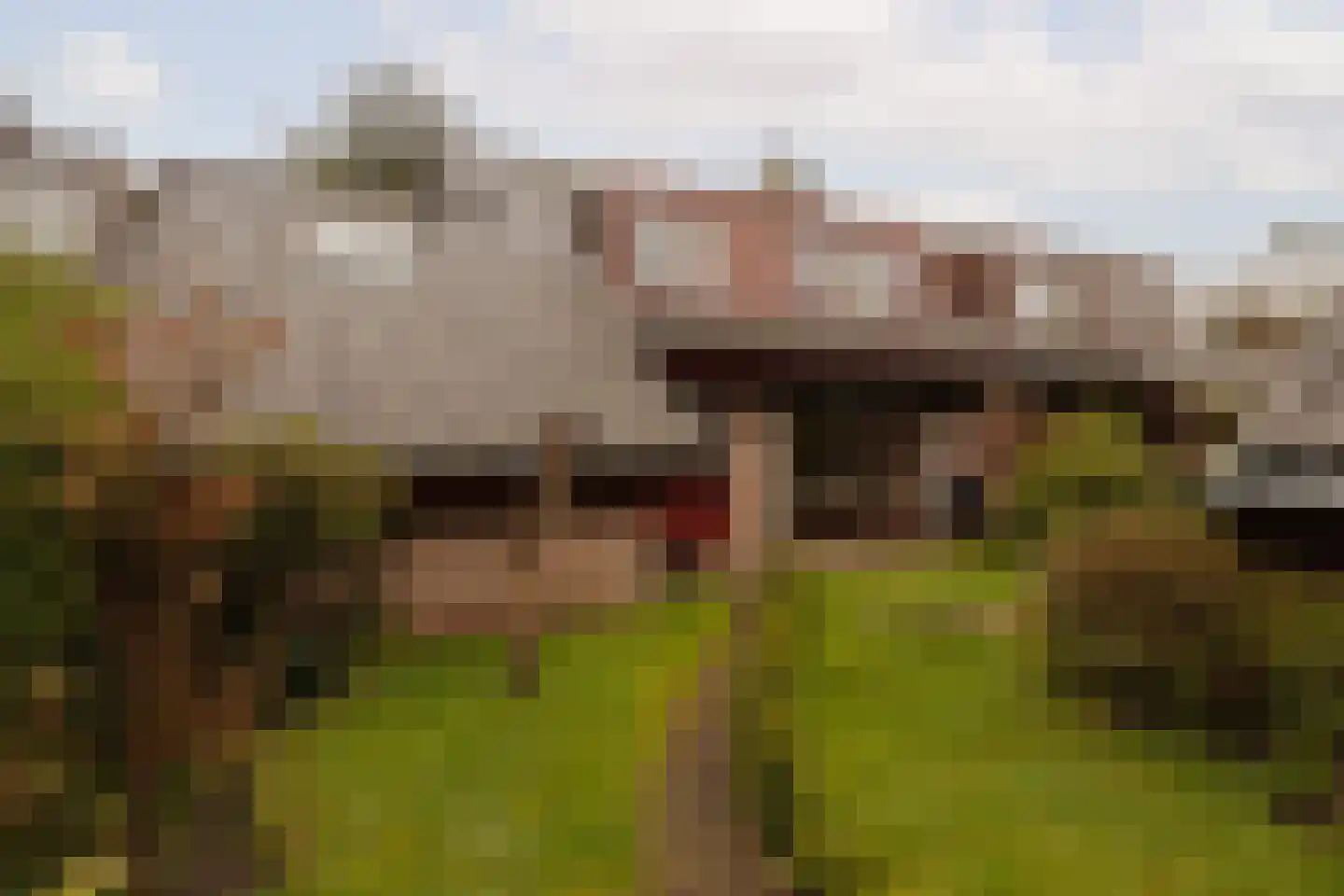 Van Wijnbergenlaan 6 Wassenaar thumbnail 19