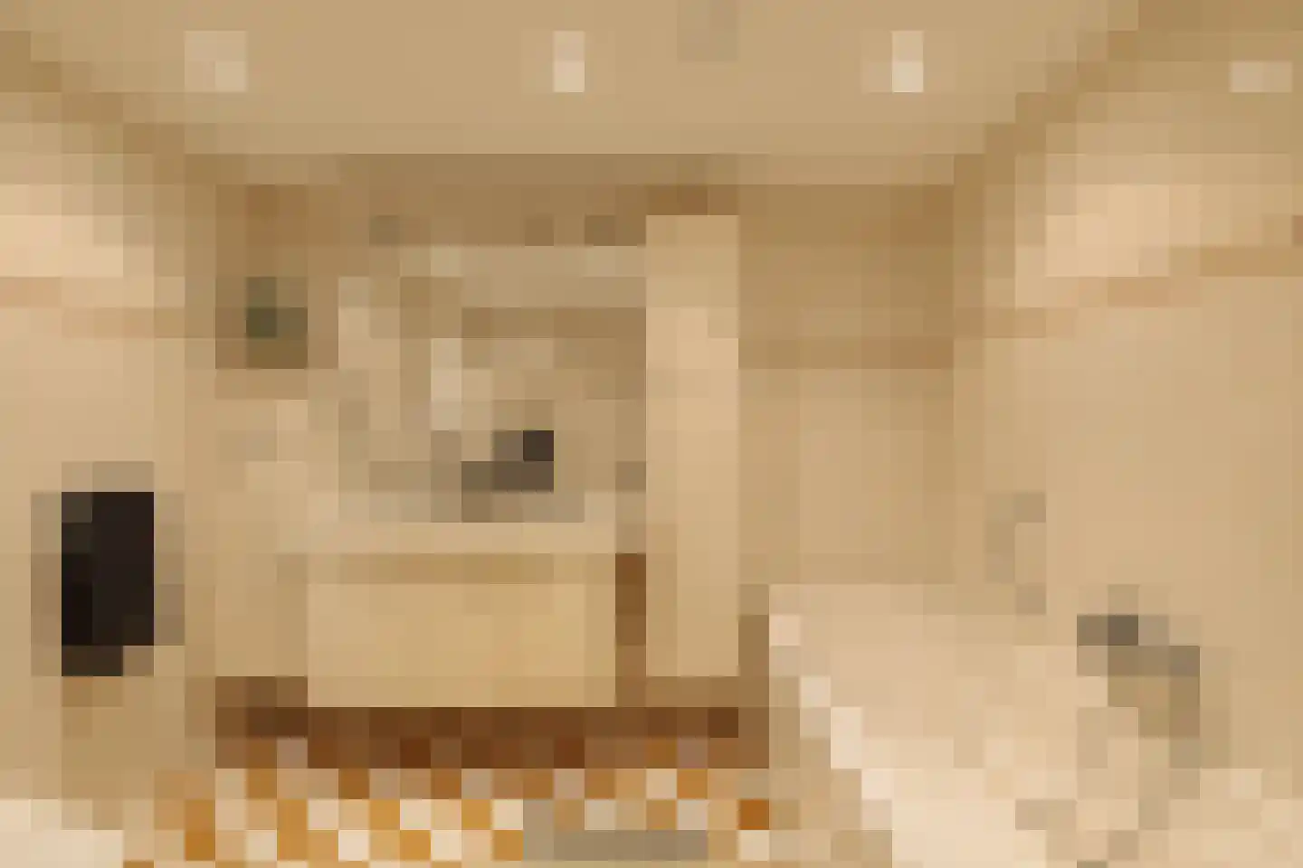 Van Wijnbergenlaan 6 Wassenaar thumbnail 31