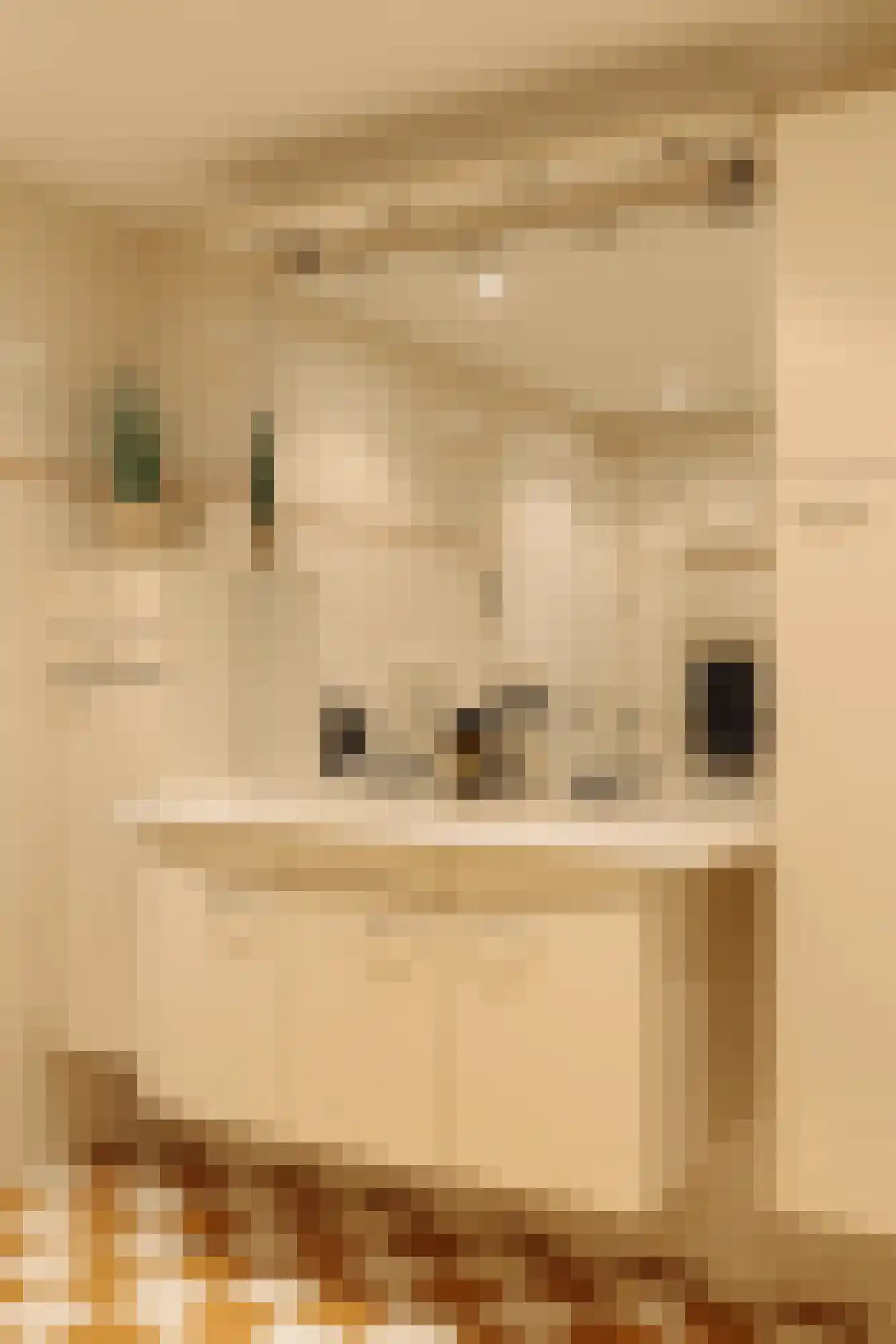 Van Wijnbergenlaan 6 Wassenaar thumbnail 32
