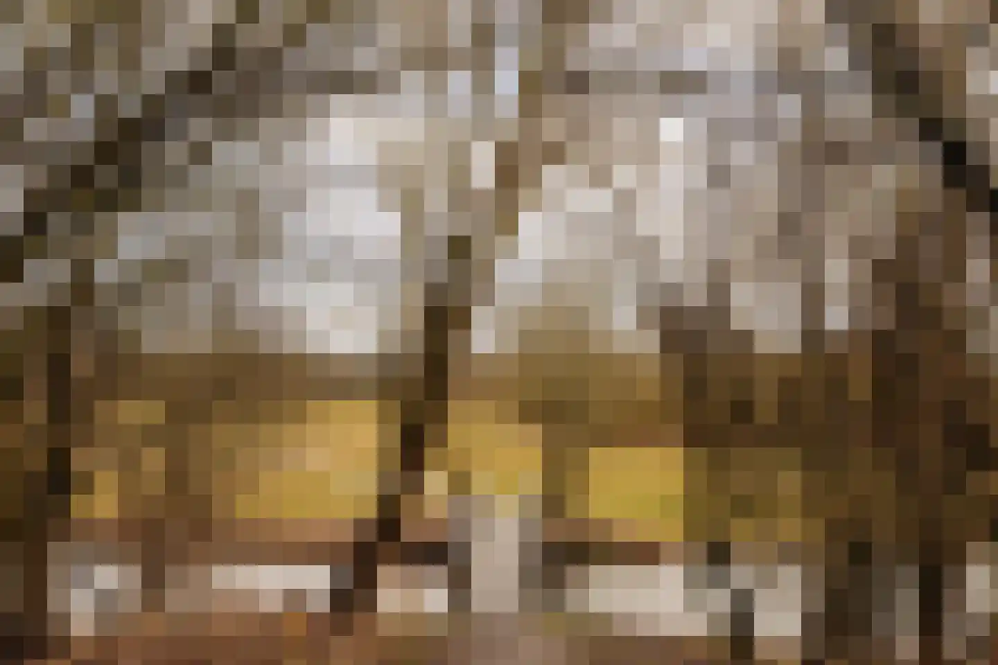 Van Wijnbergenlaan 6 Wassenaar thumbnail 39
