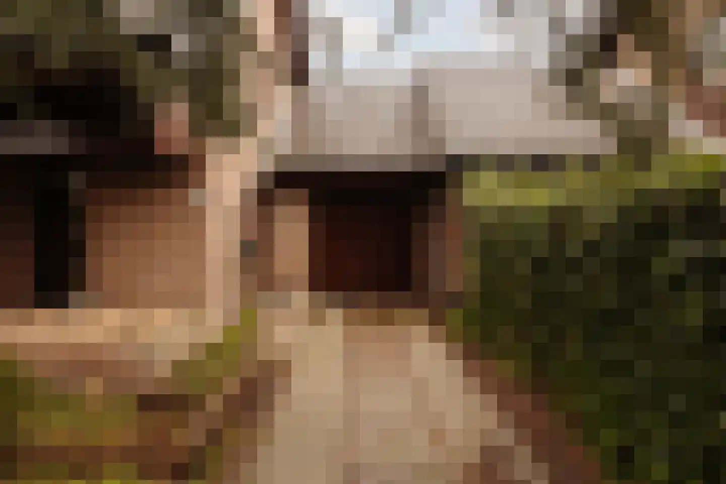Van Wijnbergenlaan 6 Wassenaar thumbnail 4