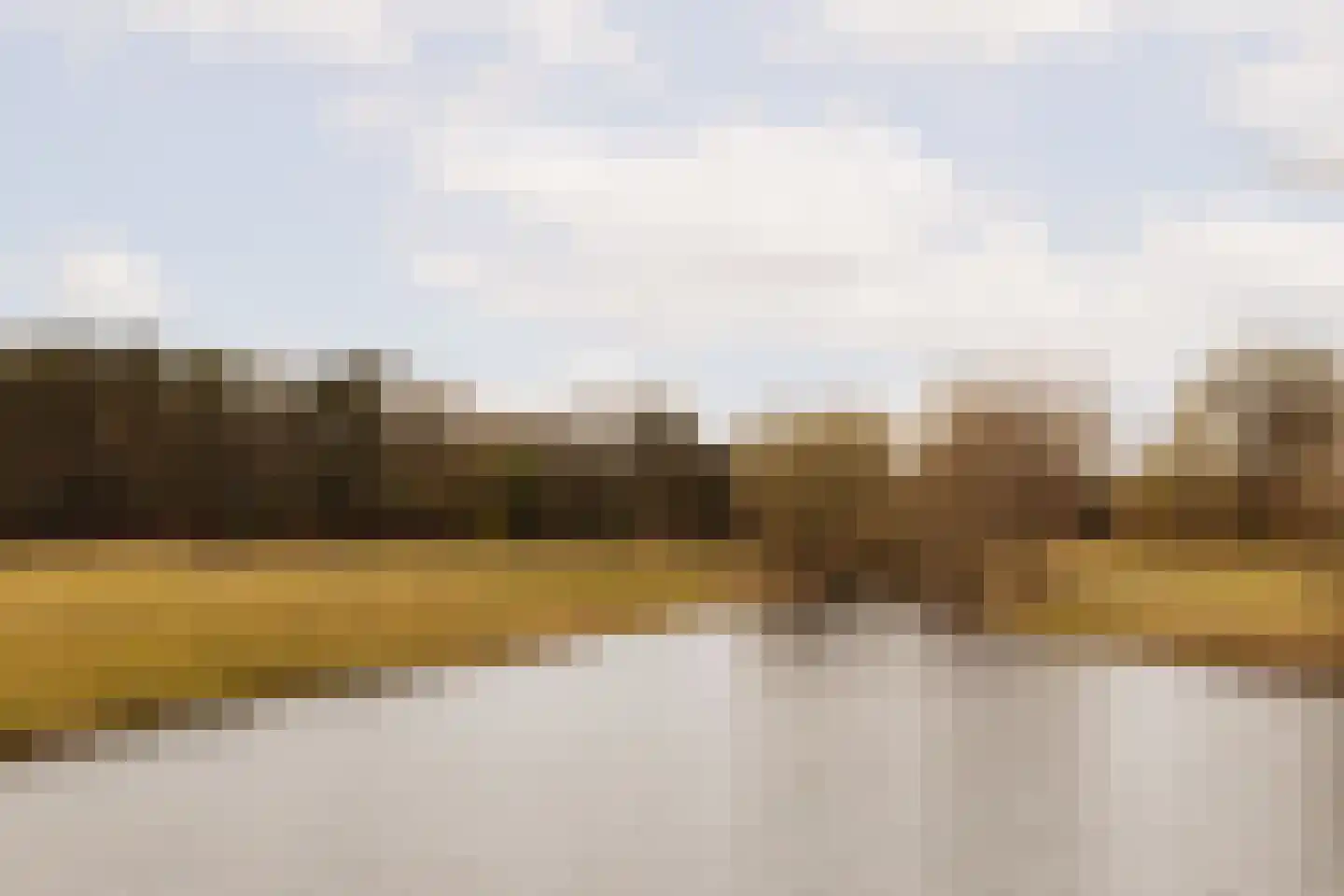 Van Wijnbergenlaan 6 Wassenaar thumbnail 40