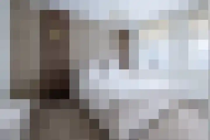 Van Wijnbergenlaan 67 Barneveld thumbnail 13