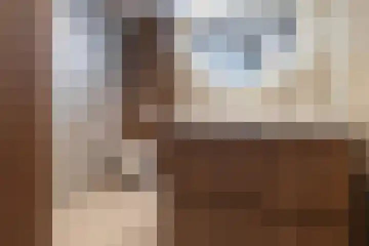 Van Wijnbergenlaan 67 Barneveld thumbnail 20