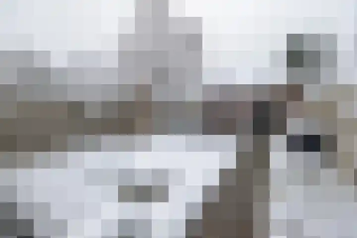 Van Wijnbergenlaan 67 Barneveld thumbnail 31