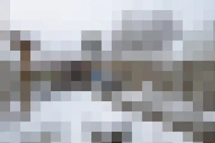 Van Wijnbergenlaan 67 Barneveld thumbnail 33