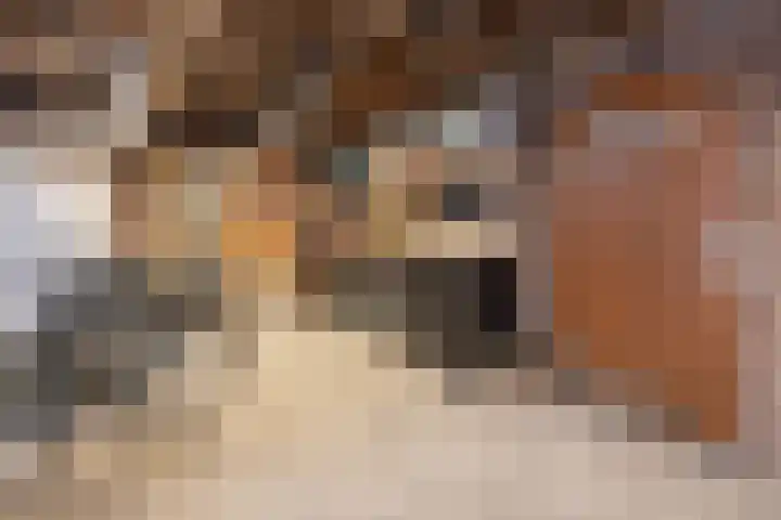 Van Wijnbergenlaan 67 Barneveld thumbnail 36