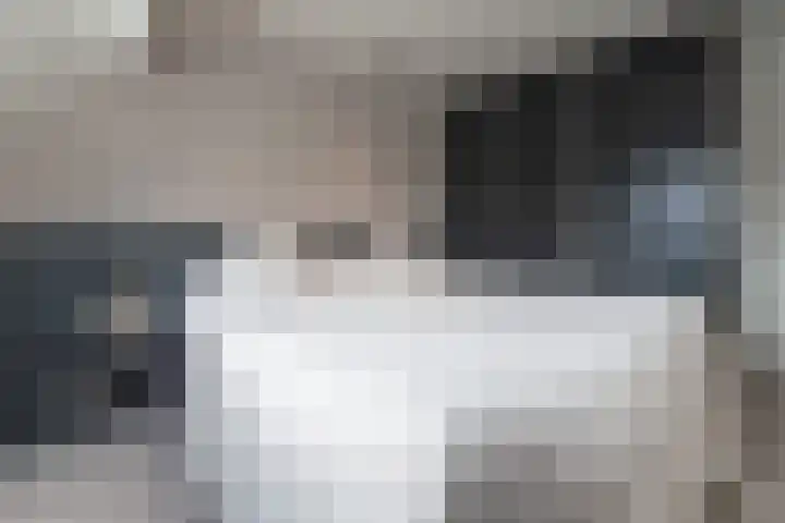 Van Wijnbergenlaan 85 Barneveld thumbnail 19