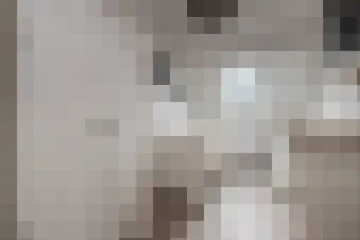 Van Wijnbergenlaan 85 Barneveld thumbnail 20