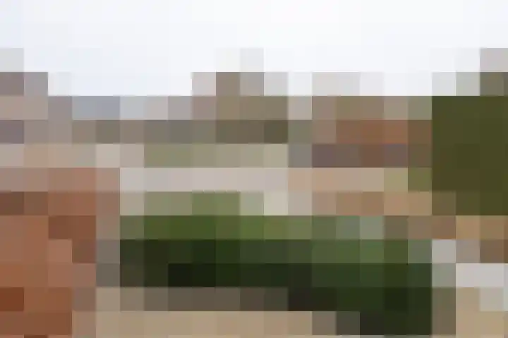 Van Wijnbergenlaan 85 Barneveld thumbnail 44