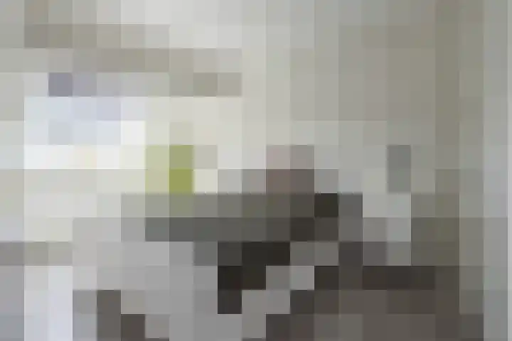 Van Wijnbergenlaan 91 Barneveld thumbnail 19