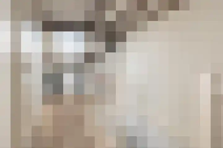 Van Wijnbergenlaan 91 Barneveld thumbnail 34