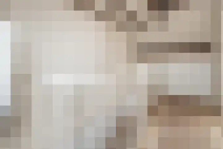 Van Wijnbergenlaan 91 Barneveld thumbnail 35