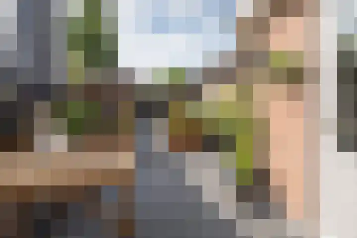 Van Wijnbergenlaan 91 Barneveld thumbnail 36