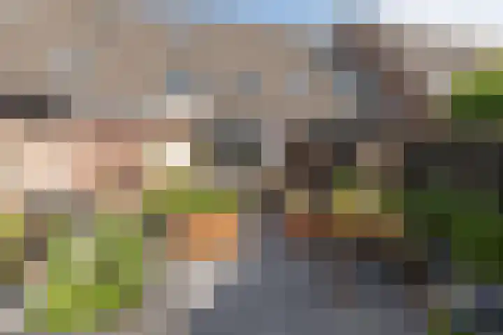 Van Wijnbergenlaan 91 Barneveld thumbnail 37