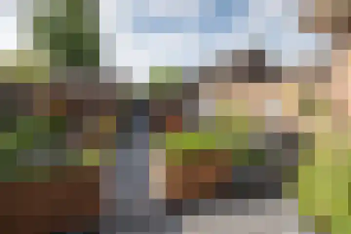 Van Wijnbergenlaan 91 Barneveld thumbnail 38