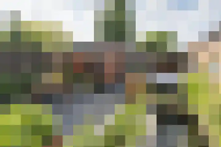 Van Wijnbergenlaan 91 Barneveld thumbnail 39