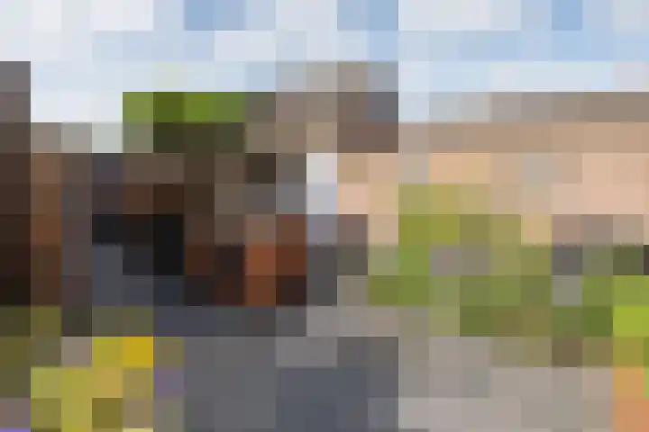 Van Wijnbergenlaan 91 Barneveld thumbnail 40
