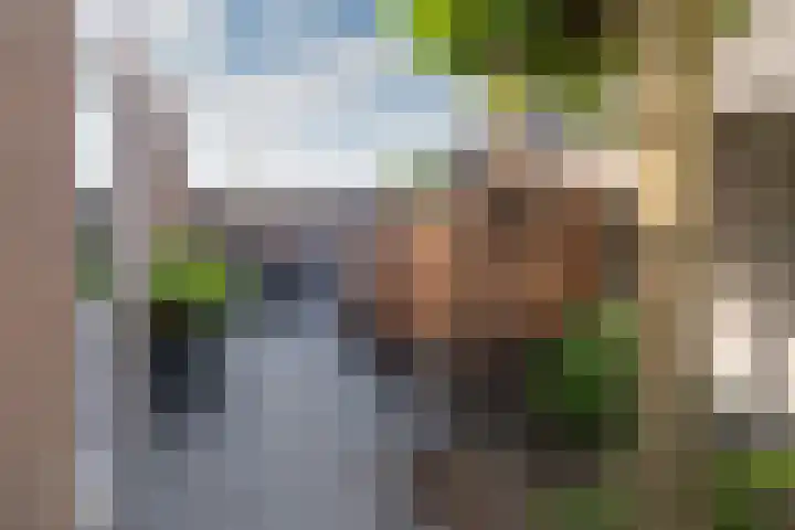 Van Wijnbergenlaan 91 Barneveld thumbnail 41