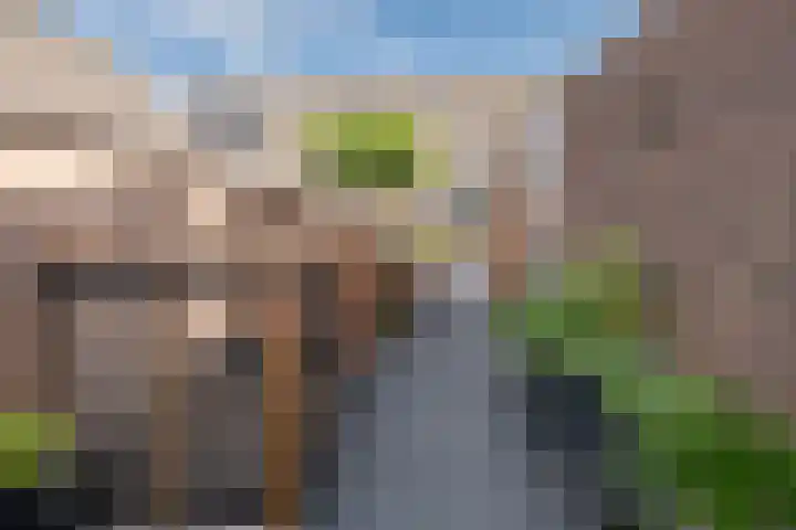 Van Wijnbergenlaan 91 Barneveld thumbnail 42