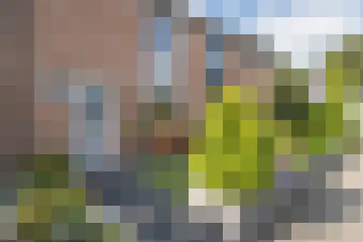 Van Wijnbergenlaan 91 Barneveld thumbnail 44