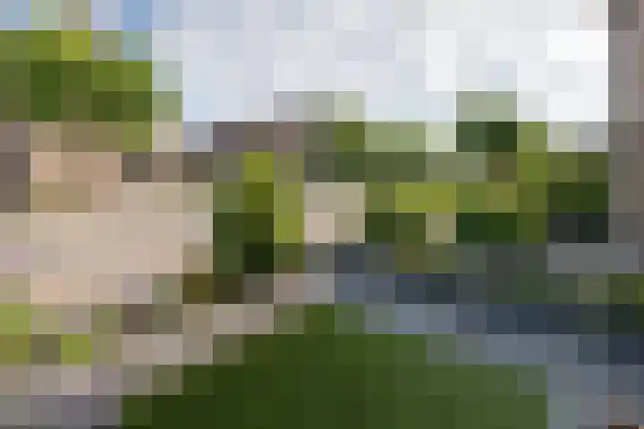 Van Wijnbergenlaan 91 Barneveld thumbnail 46