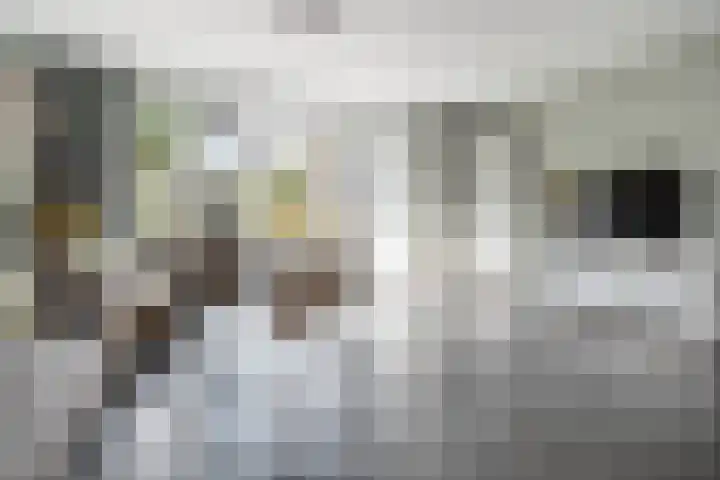 Van Wijnbergenlaan 91 Barneveld thumbnail 5