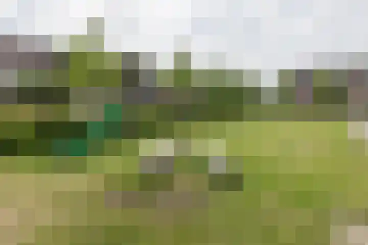 Van Wijnbergenlaan 91 Barneveld thumbnail 50