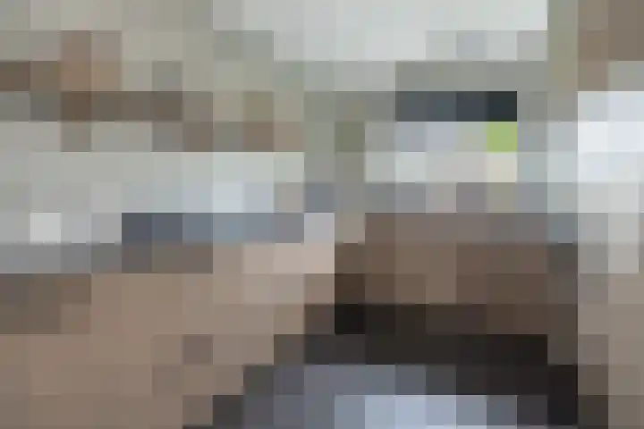 Van Wijnbergenlaan 91 Barneveld thumbnail 8