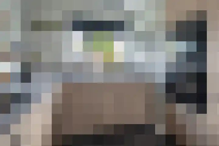 Van Wijnbergenlaan 91 Barneveld thumbnail 9