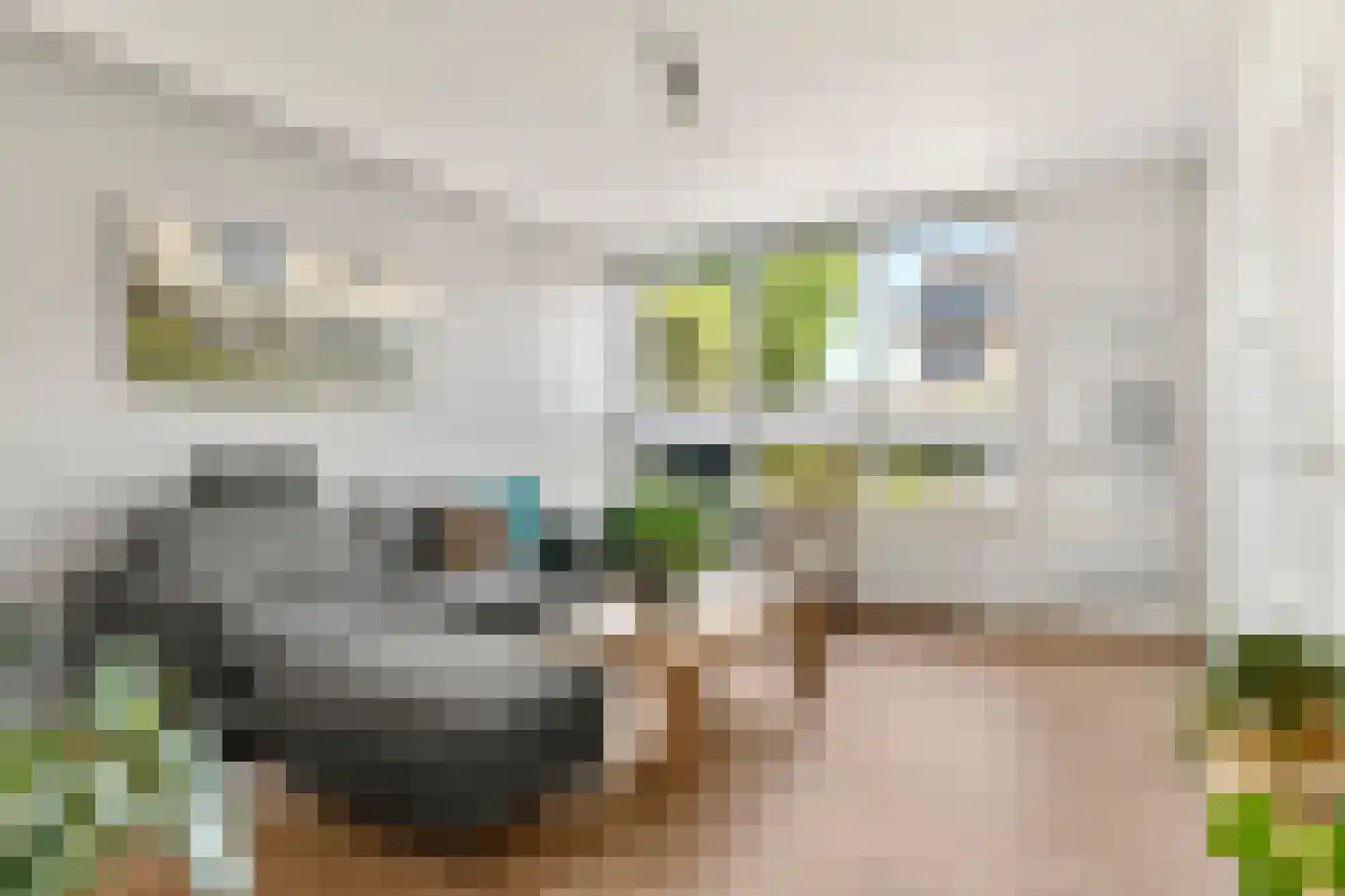 Van Wijnbergenstraat 17 Bennekom thumbnail 19