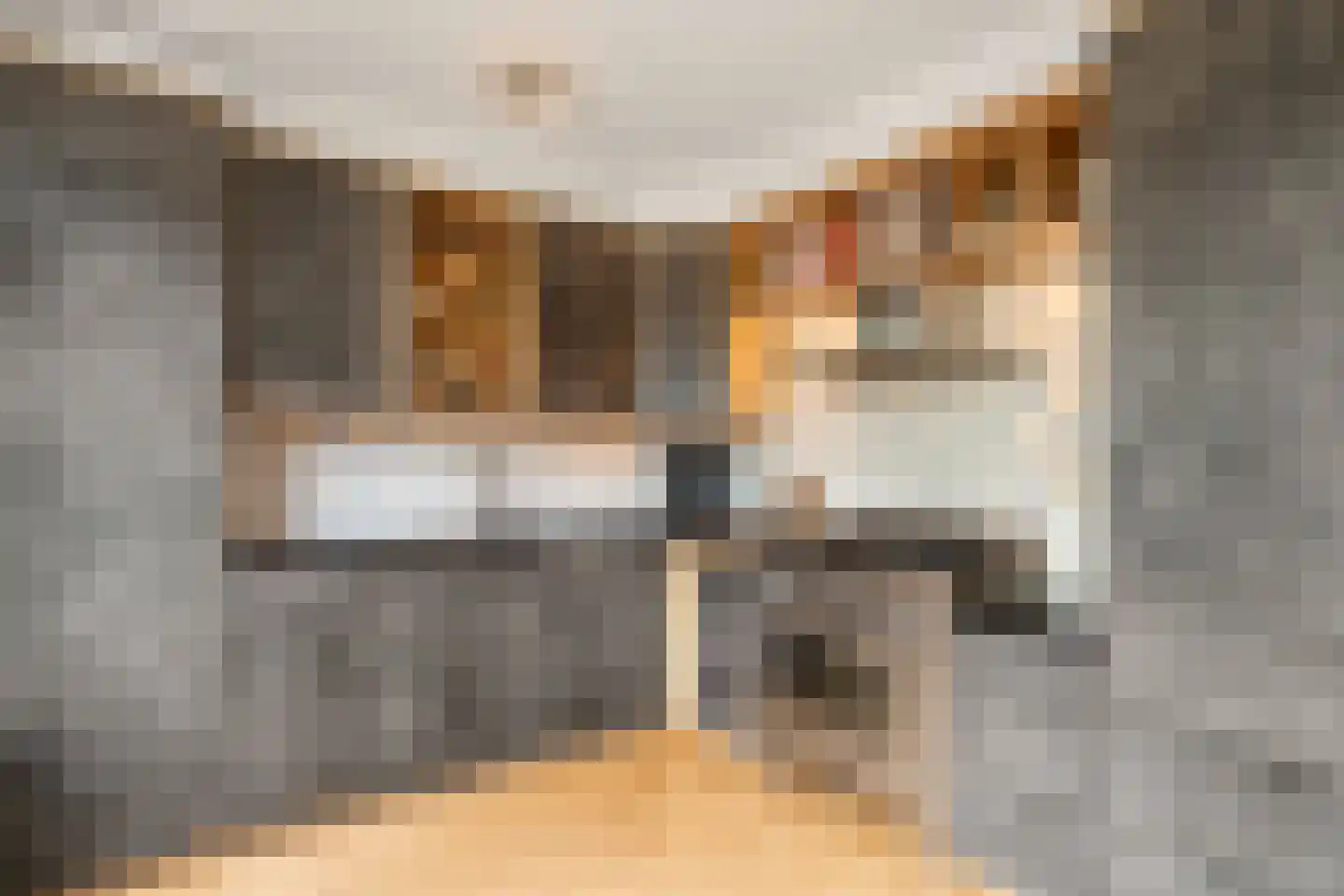 Van Wijnbergenstraat 20 Bennekom thumbnail 4