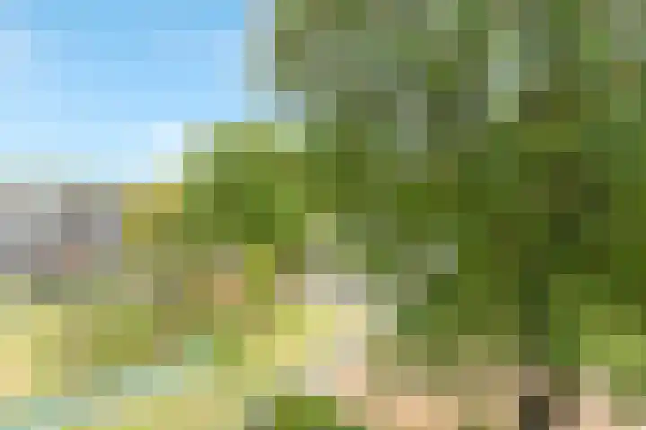 Van Wijngaardenlaan 108 Rotterdam thumbnail 33