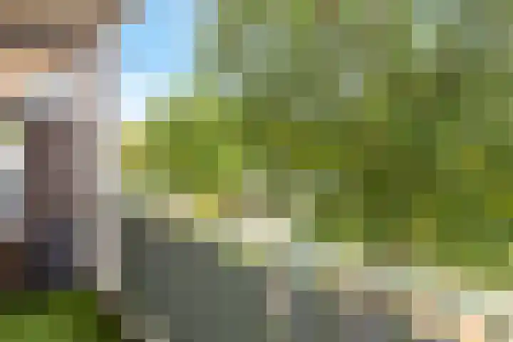 Van Wijngaardenlaan 108 Rotterdam thumbnail 5