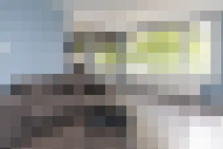 Van Wijngaardenlaan 108 Rotterdam thumbnail 7