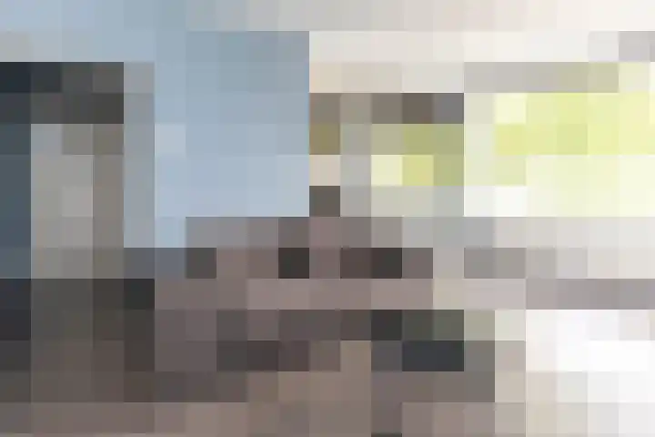Van Wijngaardenlaan 108 Rotterdam thumbnail 8