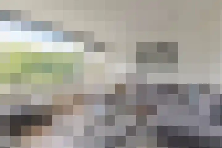 Van Wijngaardenlaan 18 Rotterdam thumbnail 10