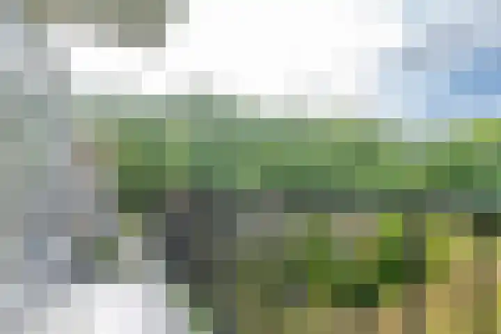 Van Wijngaardenlaan 18 Rotterdam thumbnail 20